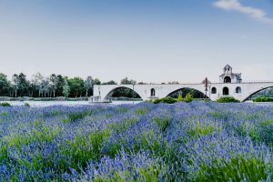 Famous bridge, Avignon © xuan nguyen / unsplash